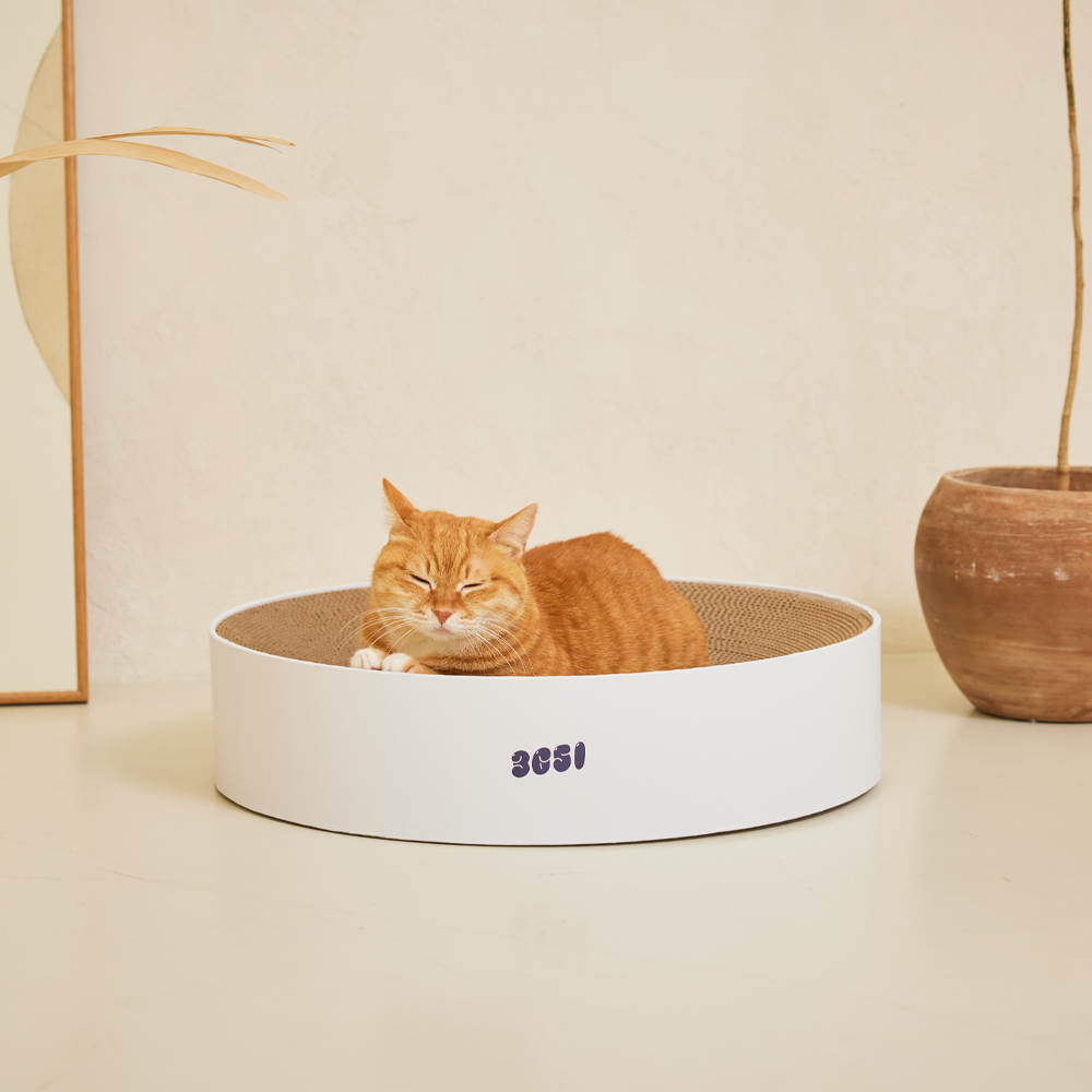 3651 벅벅 고강도 둥지 원형 고양이 스크래쳐