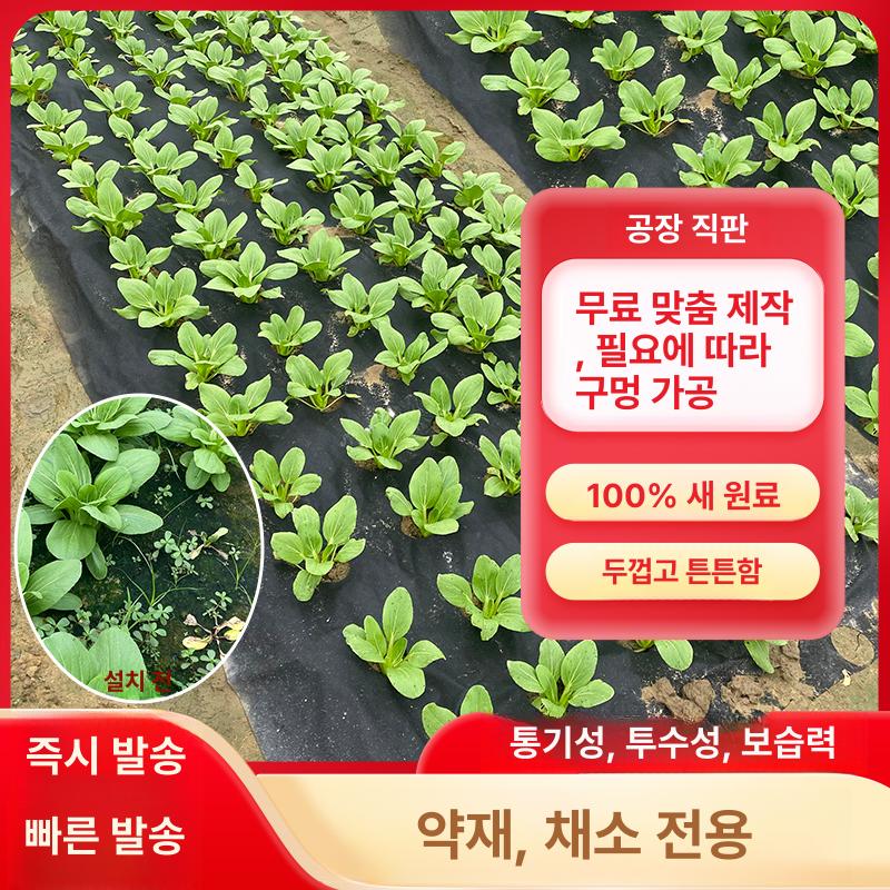 유공부직포 덮개 잡초 비닐 농업용 텃밭 제초매트 구멍 1년 0.6x20m 단일구멍 체험팩 - 상세 이미지 3