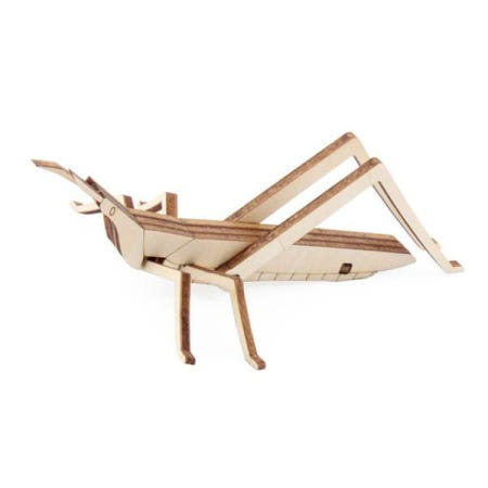 DIY 목재 방아깨비 곤충 만들기 X5개 학습교구 모형