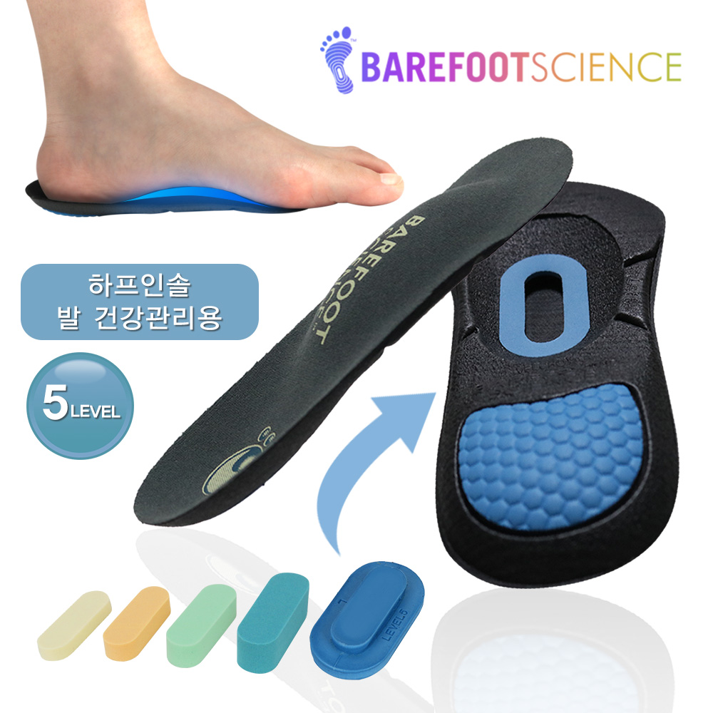 베어풋사이언스 기능성 깔창 데일리그레이 5단계 족저근막염 아치 평발 신발 쿠션 인솔 - 상세 이미지 2