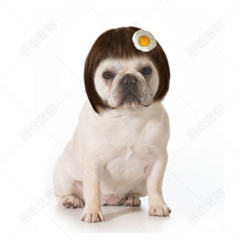 위드레오 강아지 고양이 가발 크리스마스 코스튬 계란후라이 단발 - 메인 이미지