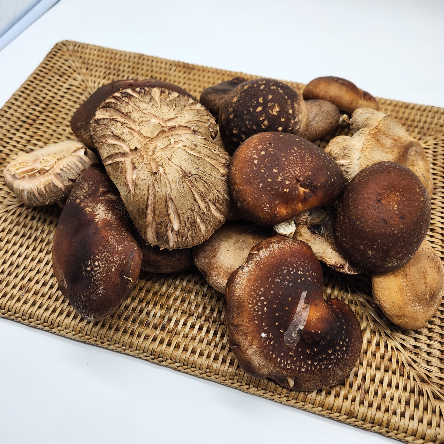 국내산 무농약 생표고 버섯 알뜰형 못난이 파지 1kg - 상세 이미지 2