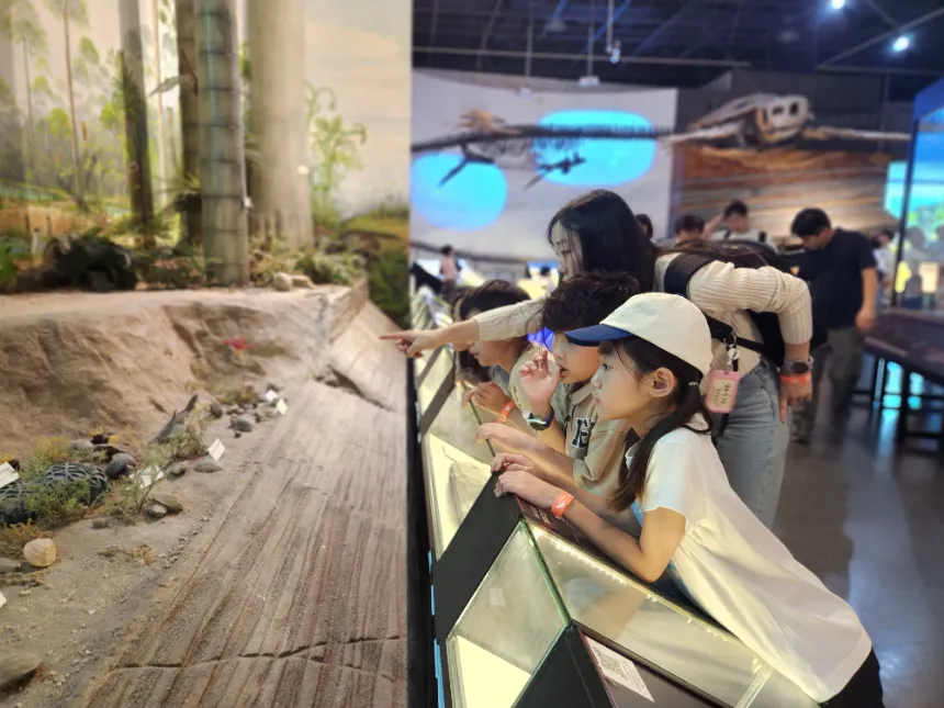 [2천원환급][초등교사자격] 국립과천과학관 초등 과학 체험 주말 방학 특강 경기 어린이 역사체험학습 도슨트 해설 수업 by 티처투어