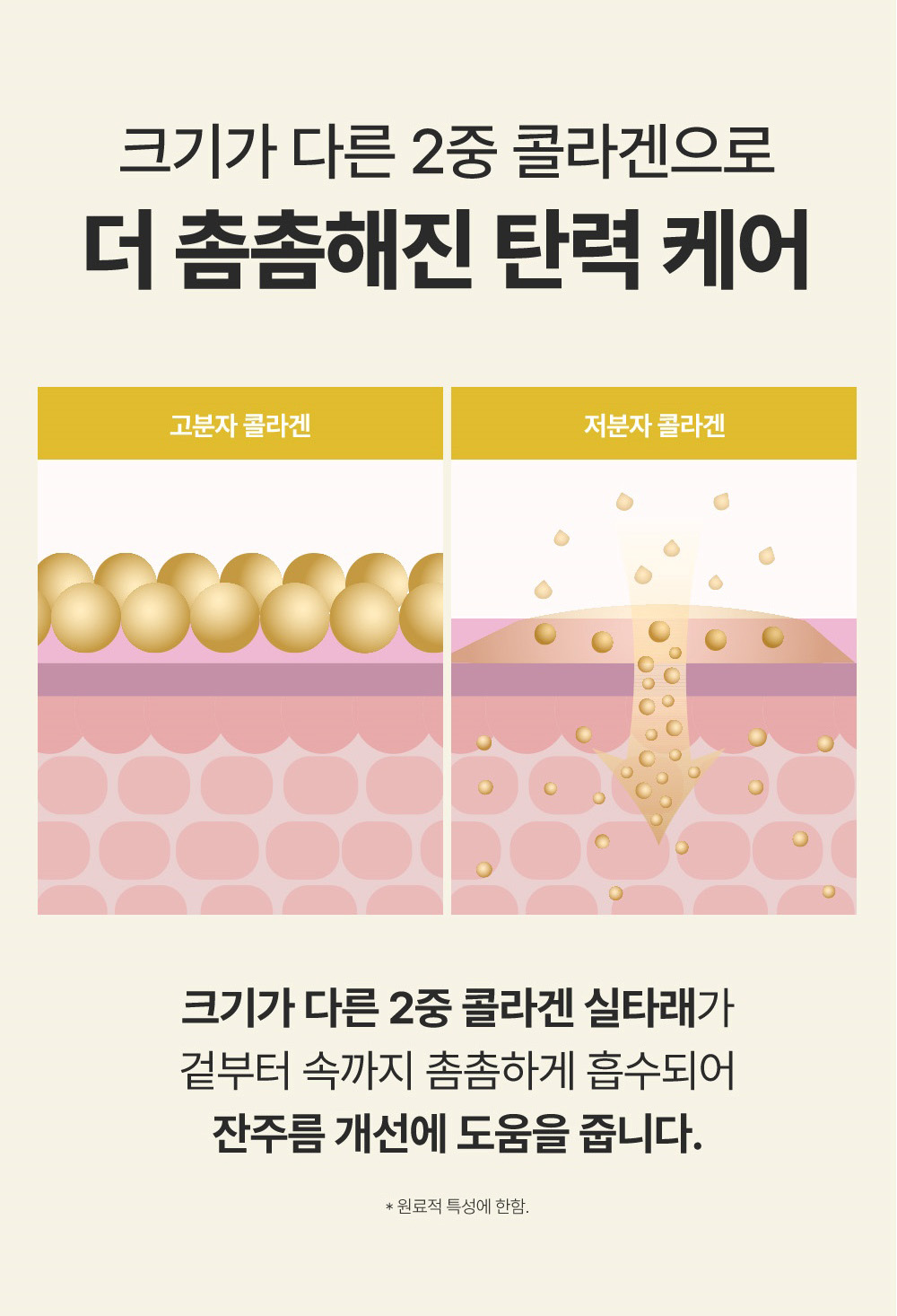 sungboon editor silk peptides concentrated ampoule