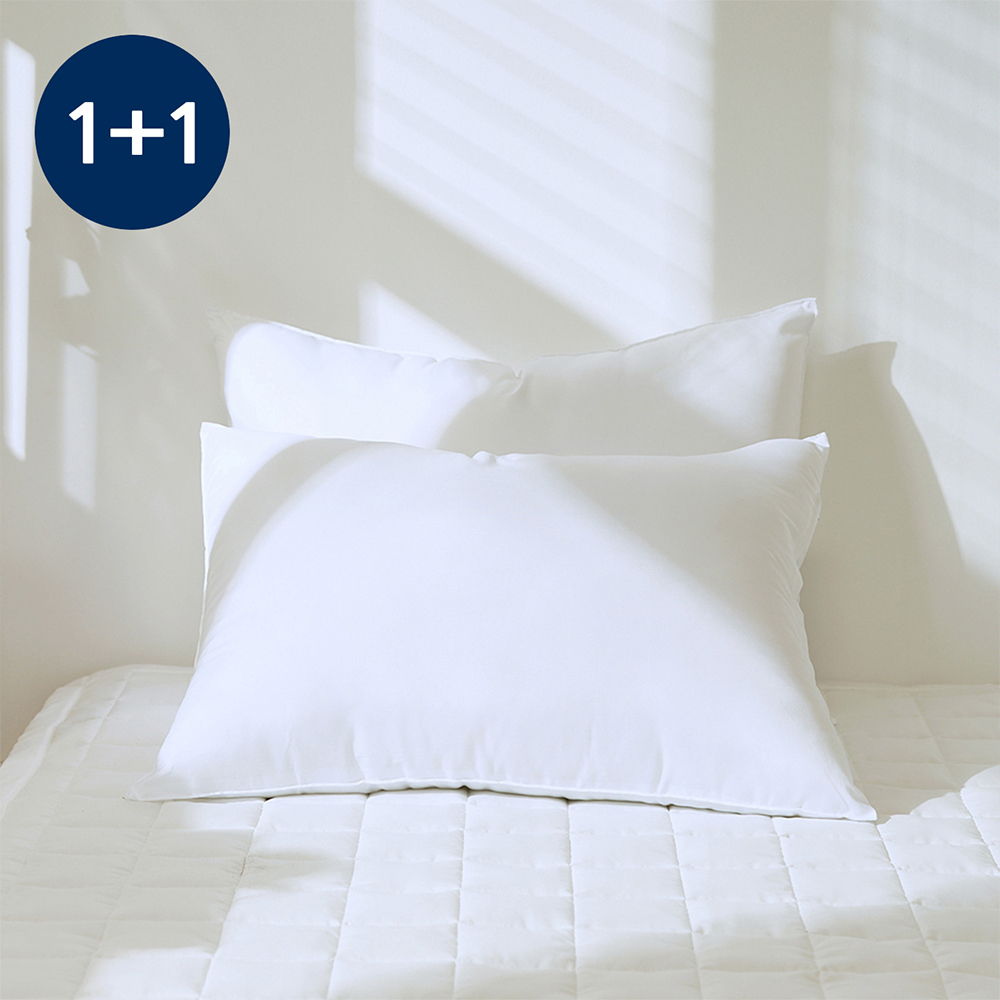 국내생산 지퍼형 항균 새솜 스탠다드 베개솜 40x60cm, 2개