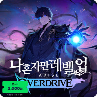 나 혼자만 레벨업 어라이즈 오버드라이브이미지