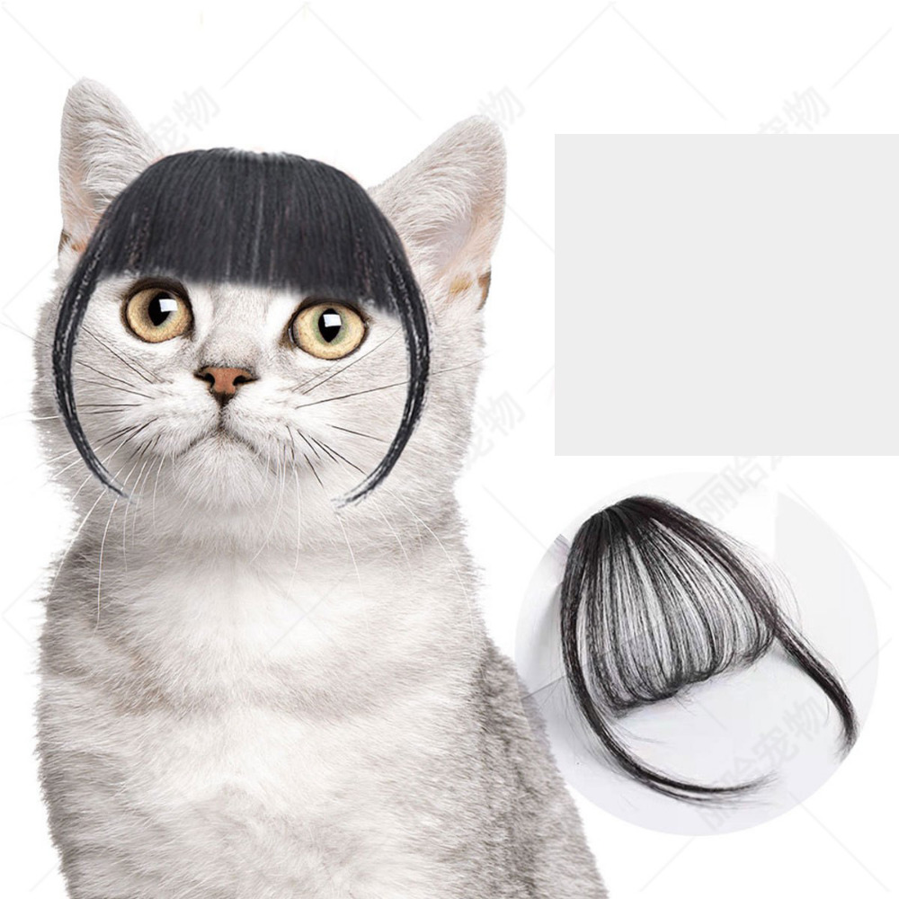 위드레오 강아지 고양이 가발 크리스마스 코스튬 앞머리 - 상세 이미지 2