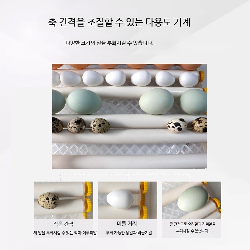 계란부화기 달걀 알부화기 병아리 메추라기 거위 인큐베이터 36개자동단일전기 - 상세 이미지 3