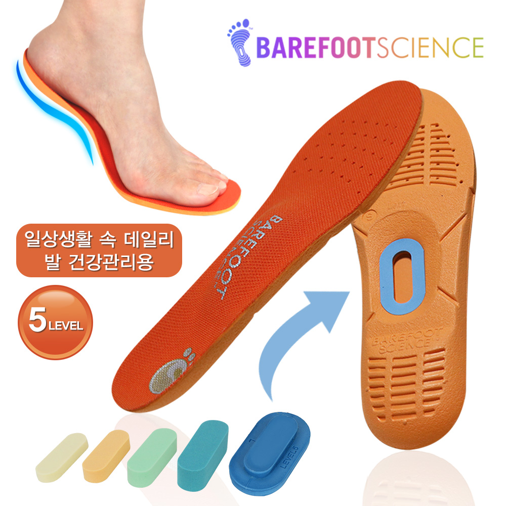 베어풋사이언스 기능성 깔창 스포츠 5단계 족저근막염 아치 평발 신발 쿠션 인솔 - 상품 이미지