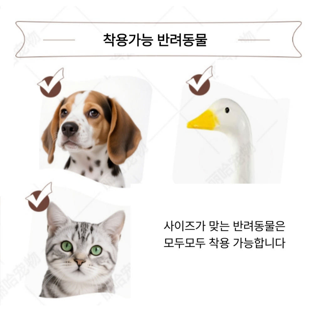 코스튬 활용 팁 이미지 2