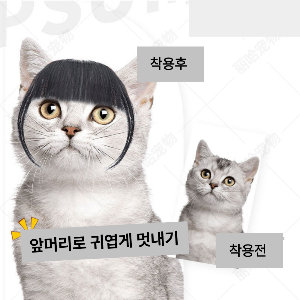 위드레오 강아지 고양이 가발 크리스마스 코스튬 앞머리 - 상세 이미지 5