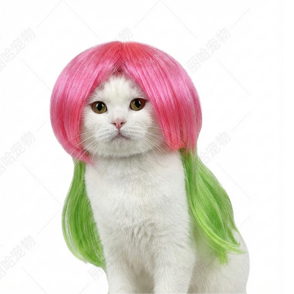 위드레오 뱅헤어 가발