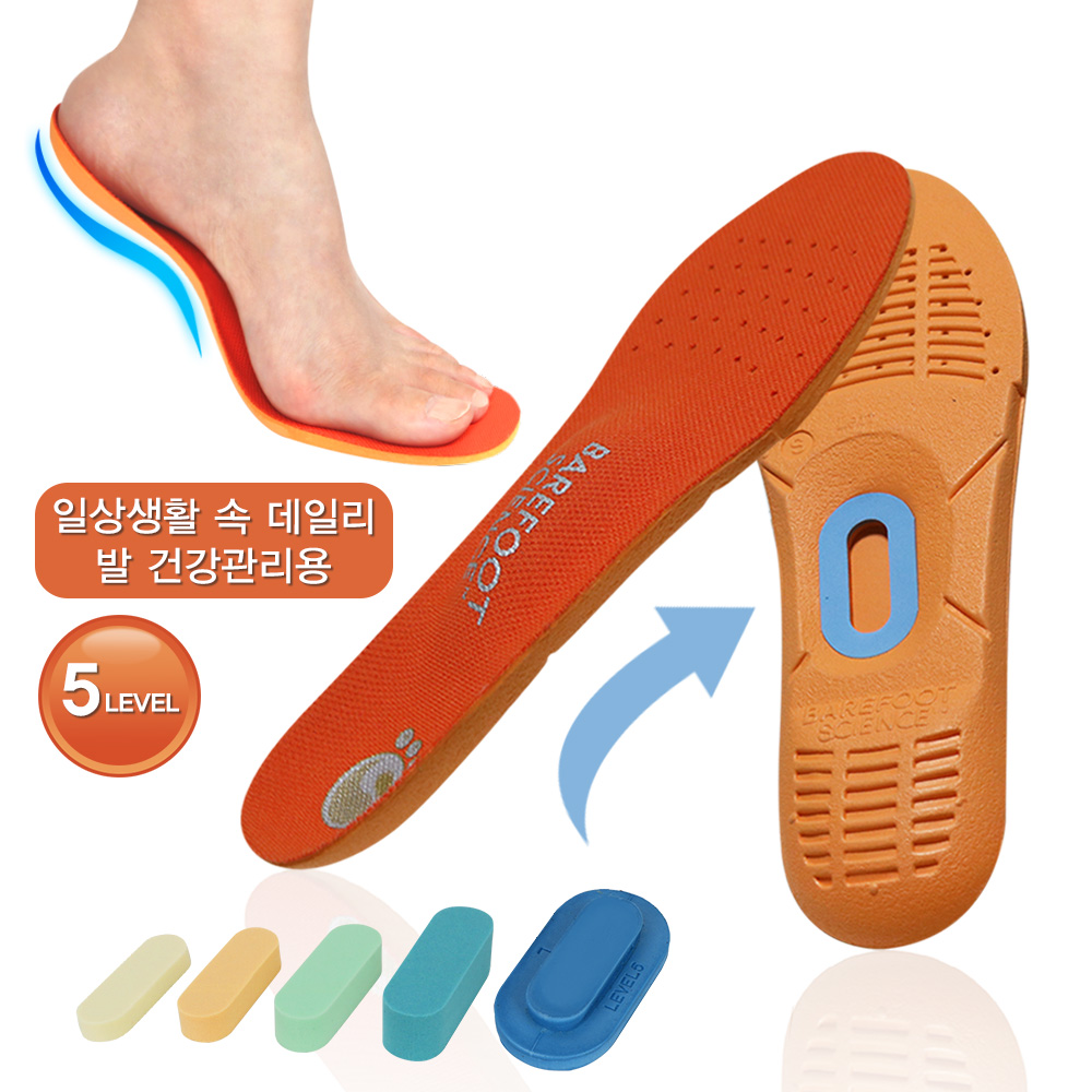 베어풋사이언스 기능성 깔창 스포츠 5단계 족저근막염 아치 평발 신발 쿠션 인솔 - 상세 이미지 2