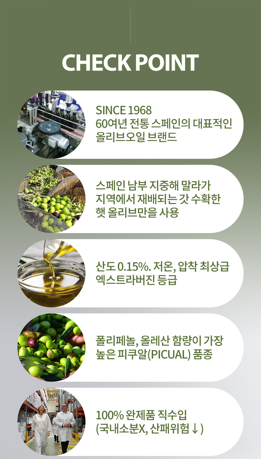라플로 엑스트라버진 올리브오일 산도0.15 냉압착 피쿠알 스페인산 750ml, 1개 이미지 6