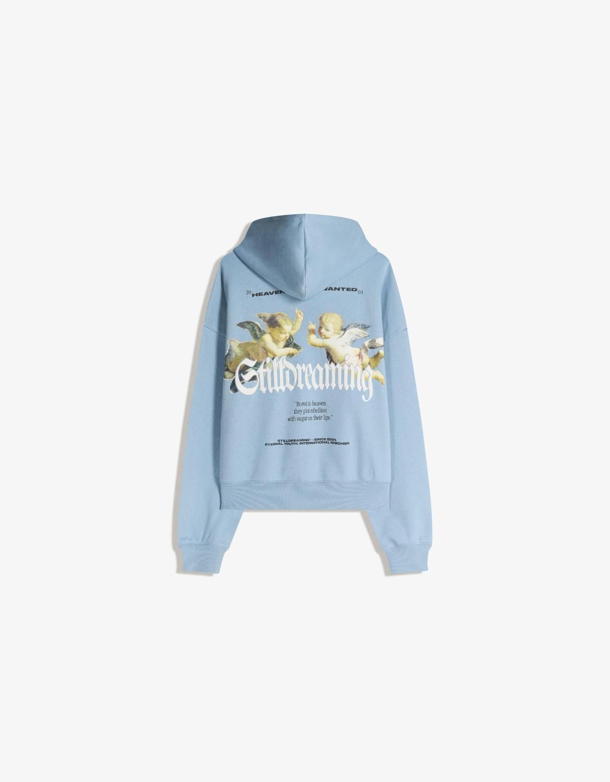 버쉬카 박시핏 프린트 후드 스웨트셔츠 6870/190 LIGHT BLUE - 상세 이미지 3