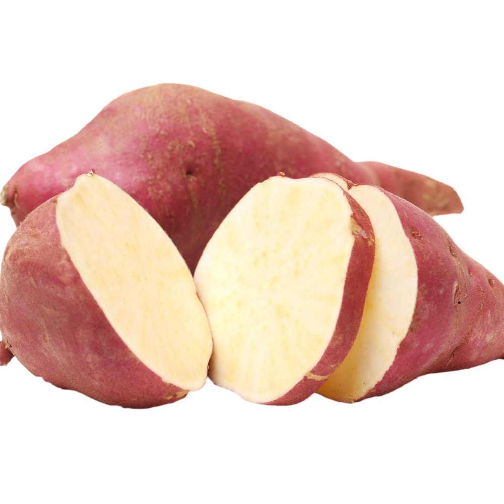 황토 햇 꿀밤고구마 1kg+1kg 소 (한입) - 상세 이미지 4