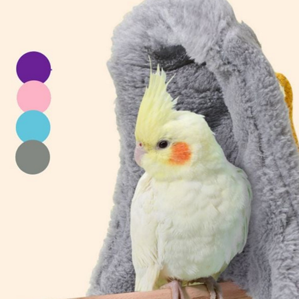 새보온 앵무새 새포치 코너 앵무새 하우스 겨울 방한 잠자리 침대