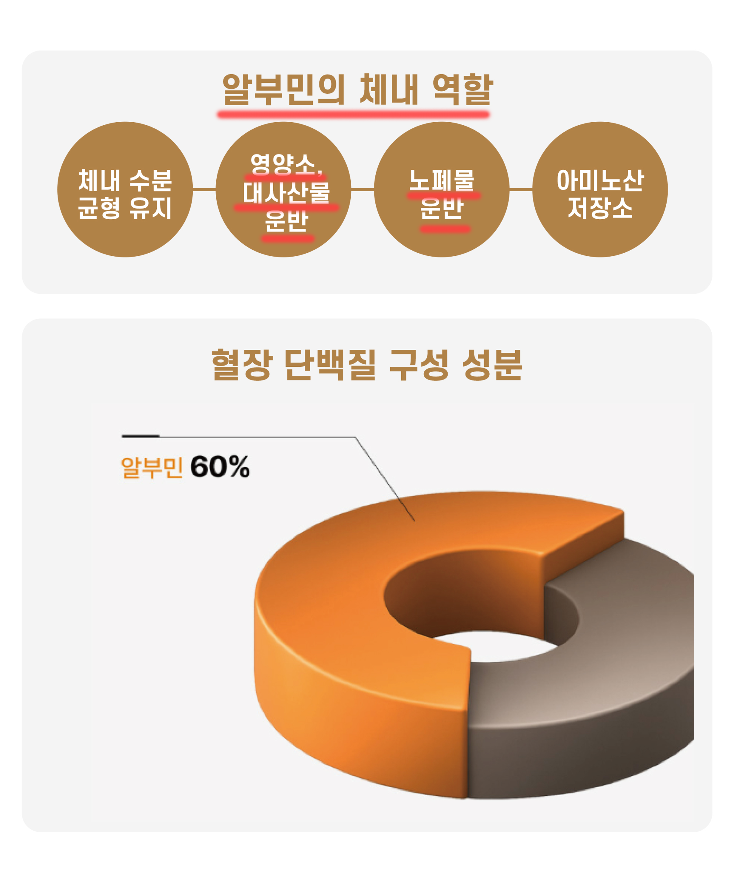 보령 뉴 알부민 마시는 고함량 알부민 효능 1박스 30병 이미지 6