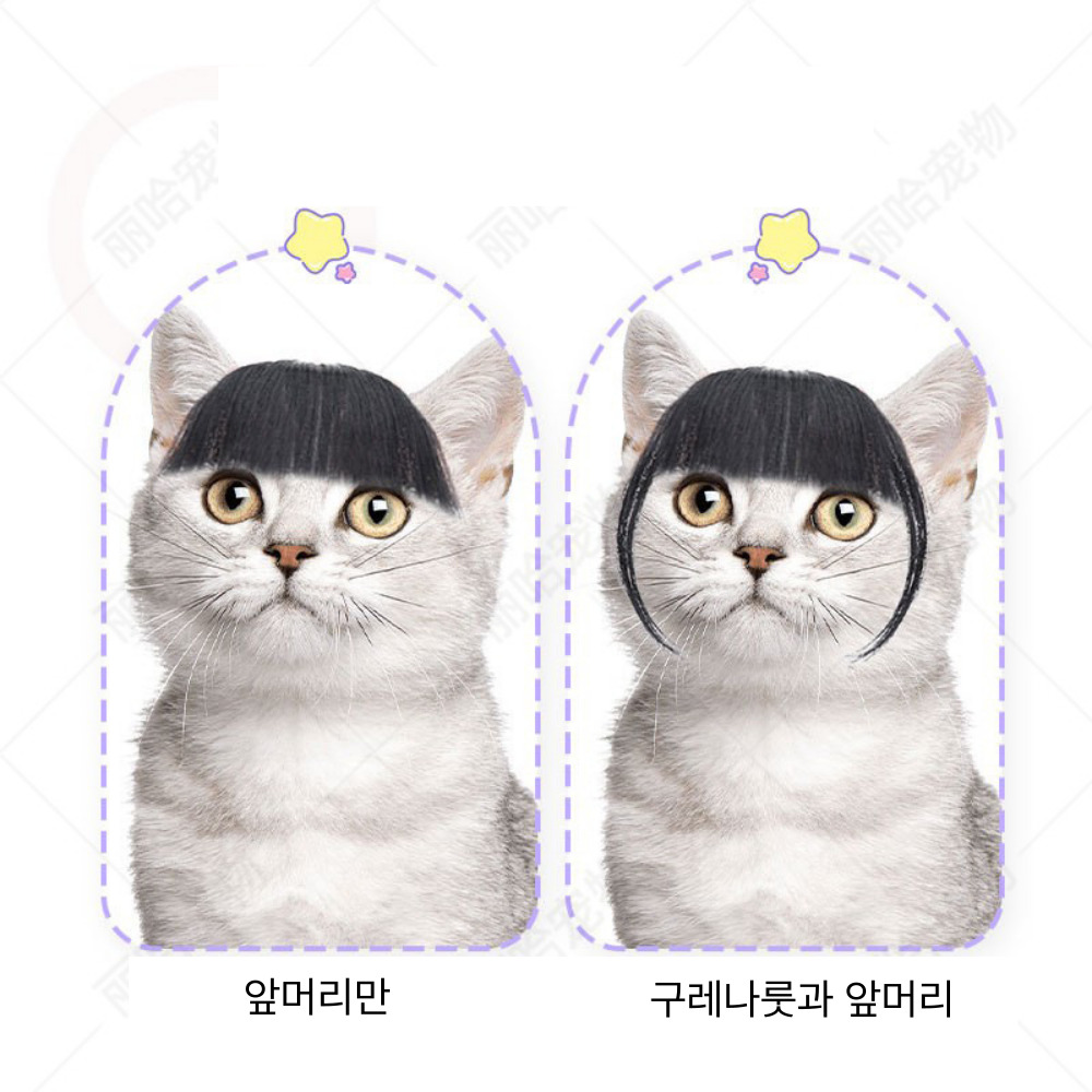 위드레오 강아지 고양이 가발 크리스마스 코스튬 앞머리 - 상세 이미지 4