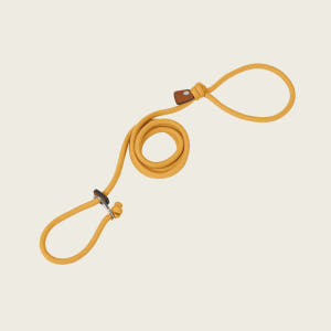 호지 슬립리쉬 일체형 강아지 리드줄 목줄 S 강아지 목줄 애견 반려견 산... 솔직 후기 | 실제 사용자 리뷰 총정리 - 상품 이미지 4