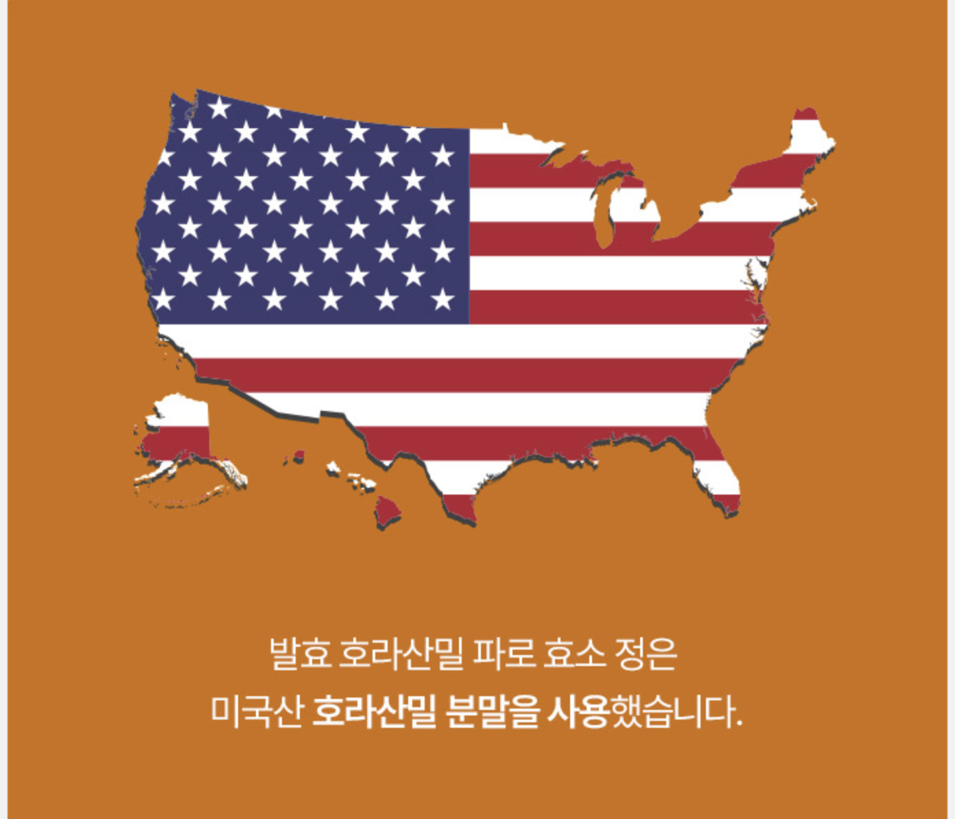 카모트 호라산밀카무트효소 파로곡물효소 글루텐분해효소 임산부 이미지 7
