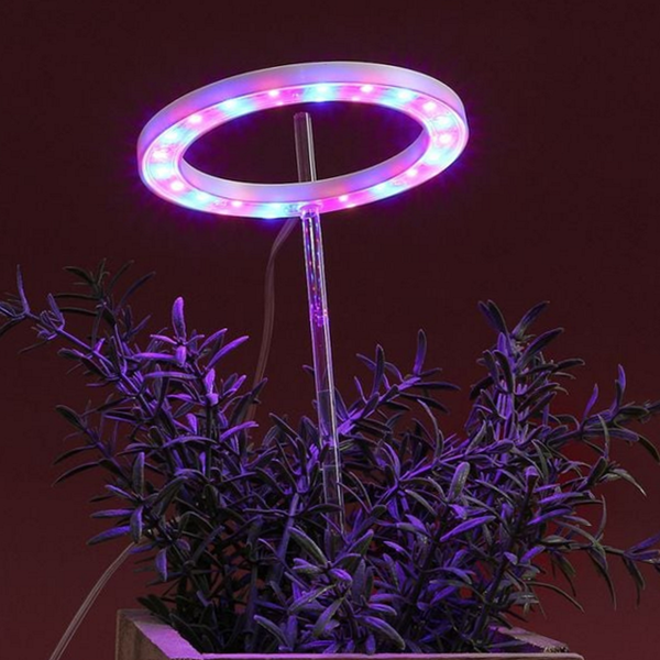 헤드형 식물 led 조명 원형 led 식물 등 재배용 다육 - 상품 이미지