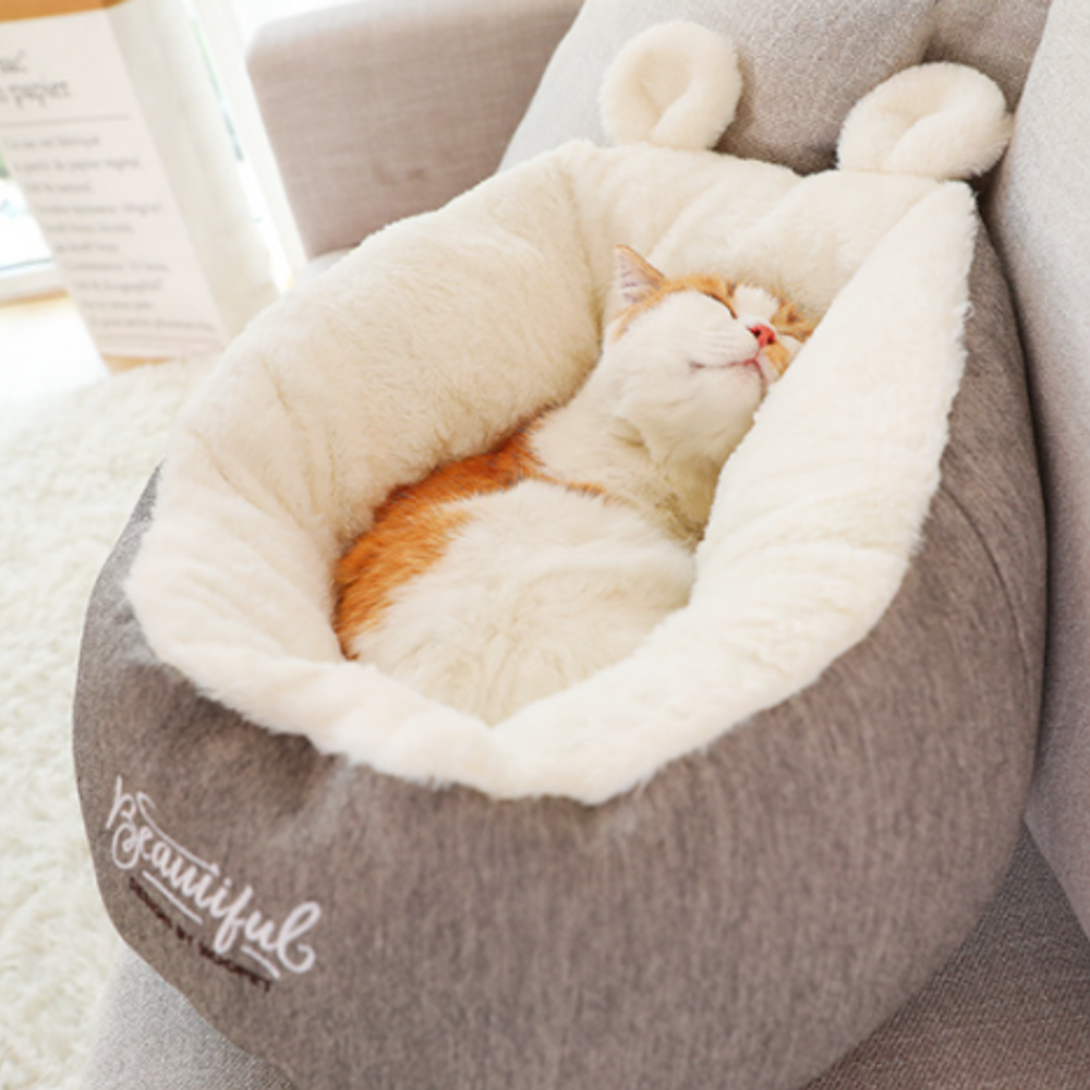 강아지 하우스 고양이 숨숨집 침대 애견 텐트 파워쿠션 호박숨숨집 중형