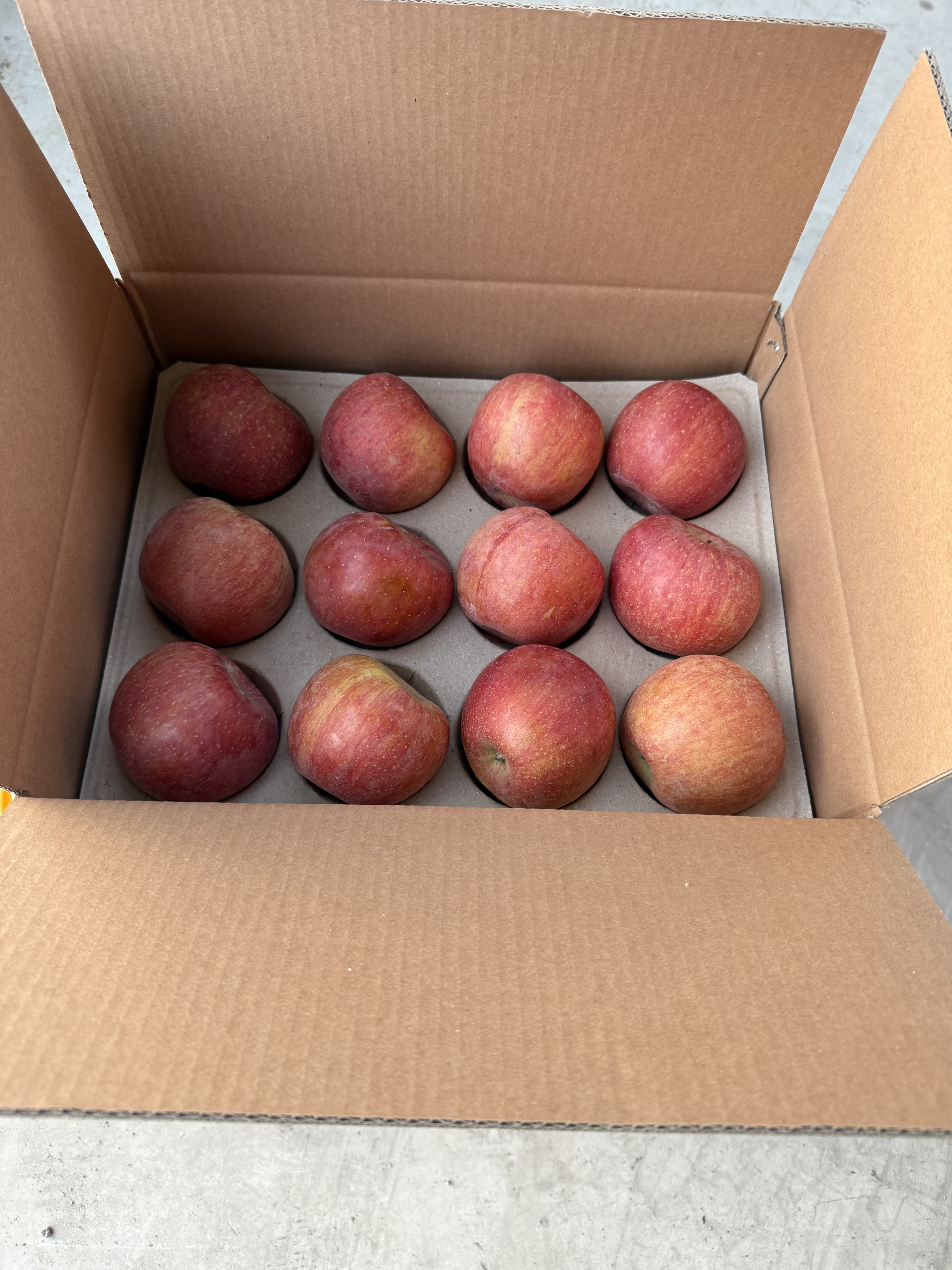 안동사과 3kg 5kg 부사 못난이사과 고당도