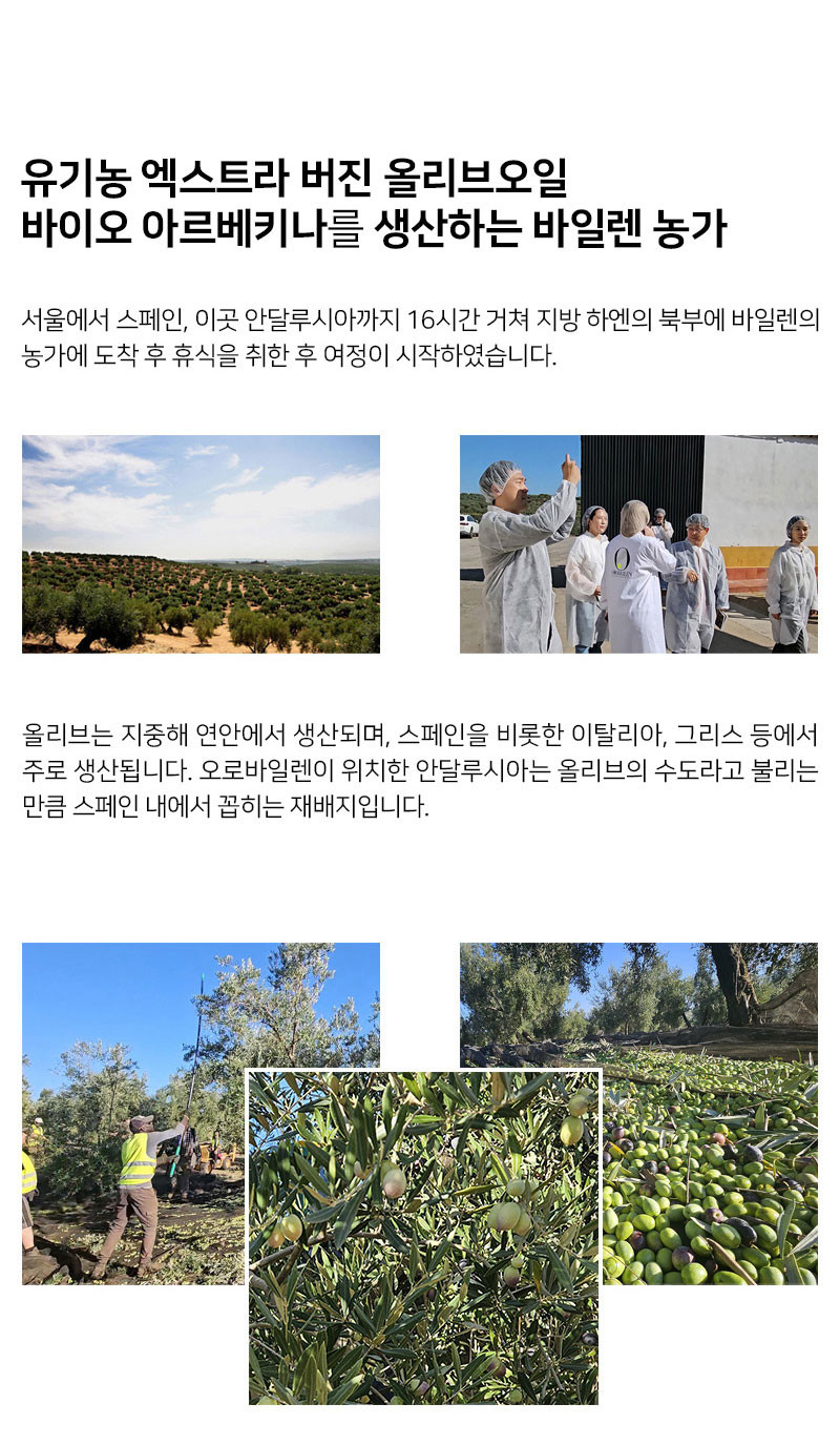 오로바일렌 바이오 아르베키나 유기농 엑스트라버진 올리브오일 500ml 3+1병세트(기프트박스 미포함) 판매처 상세 정보 이미지 3