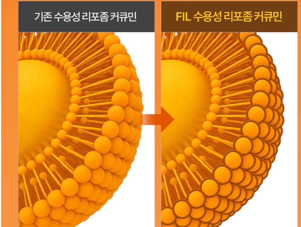 강황 수용성 리포좀 커큐민 355 맥스 4개 HACCP - 상세 이미지 3