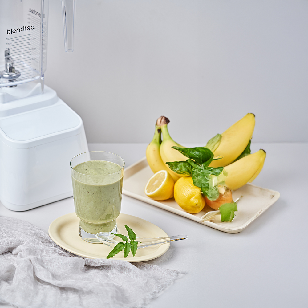 블렌텍 디자이너 650 초고속 프리미엄 블렌더 대형 대용량 이유식 믹서기 폴라 화이트