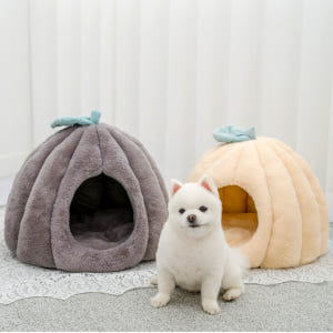 강아지 하우스 고양이 숨숨집 침대 애견 텐트 파워쿠션 호박 중형 솔직 후기 | 실제 사용자 리뷰 총정리 - 상품 이미지 1