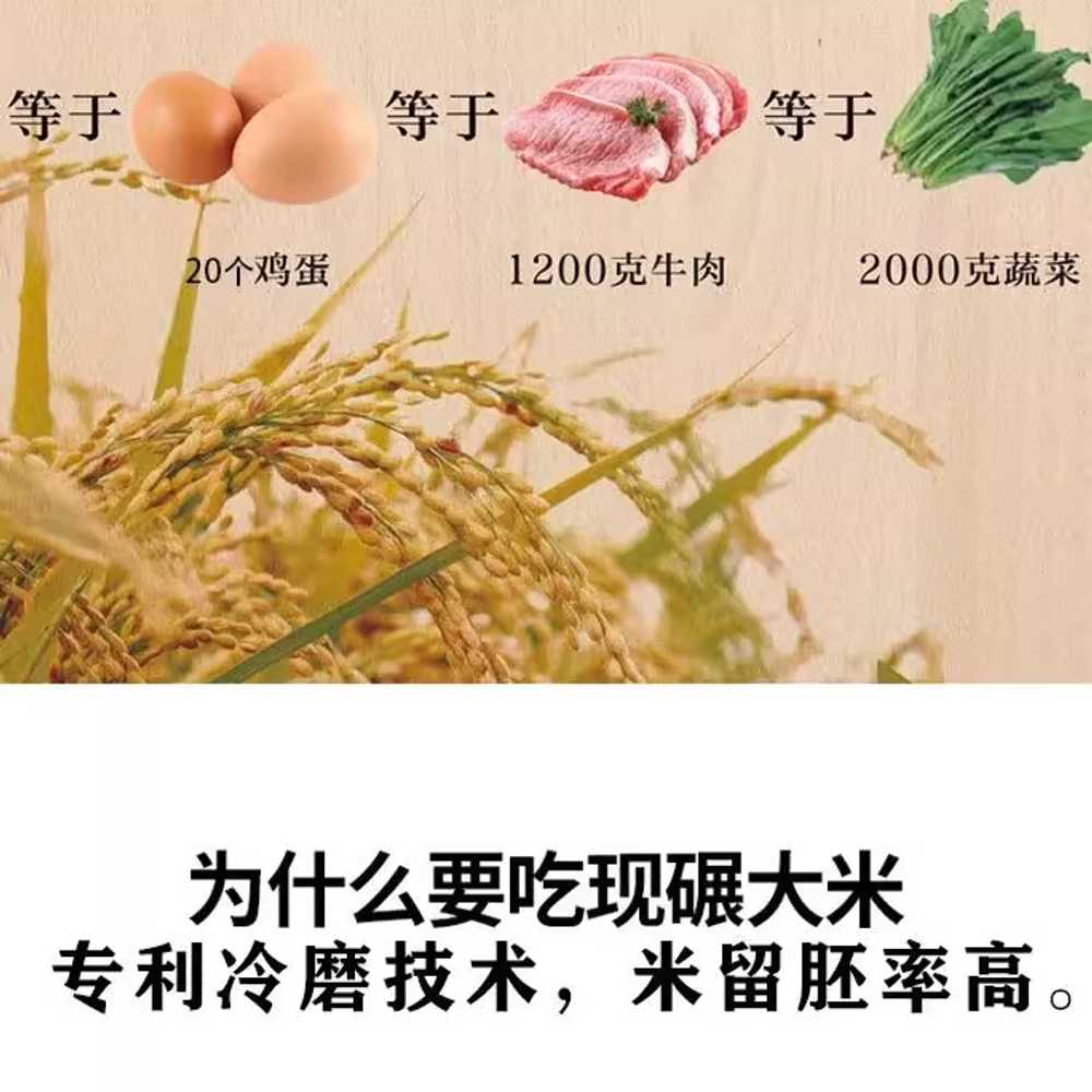 가정용 정미기 백미 전자동 탈곡 탈피 배아 제분 기계 입문형 - 상세 이미지 3