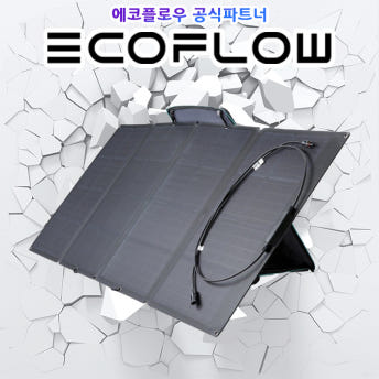 에코플로우 태양광패널 160W 파워뱅크 캠핑 - 상품 이미지