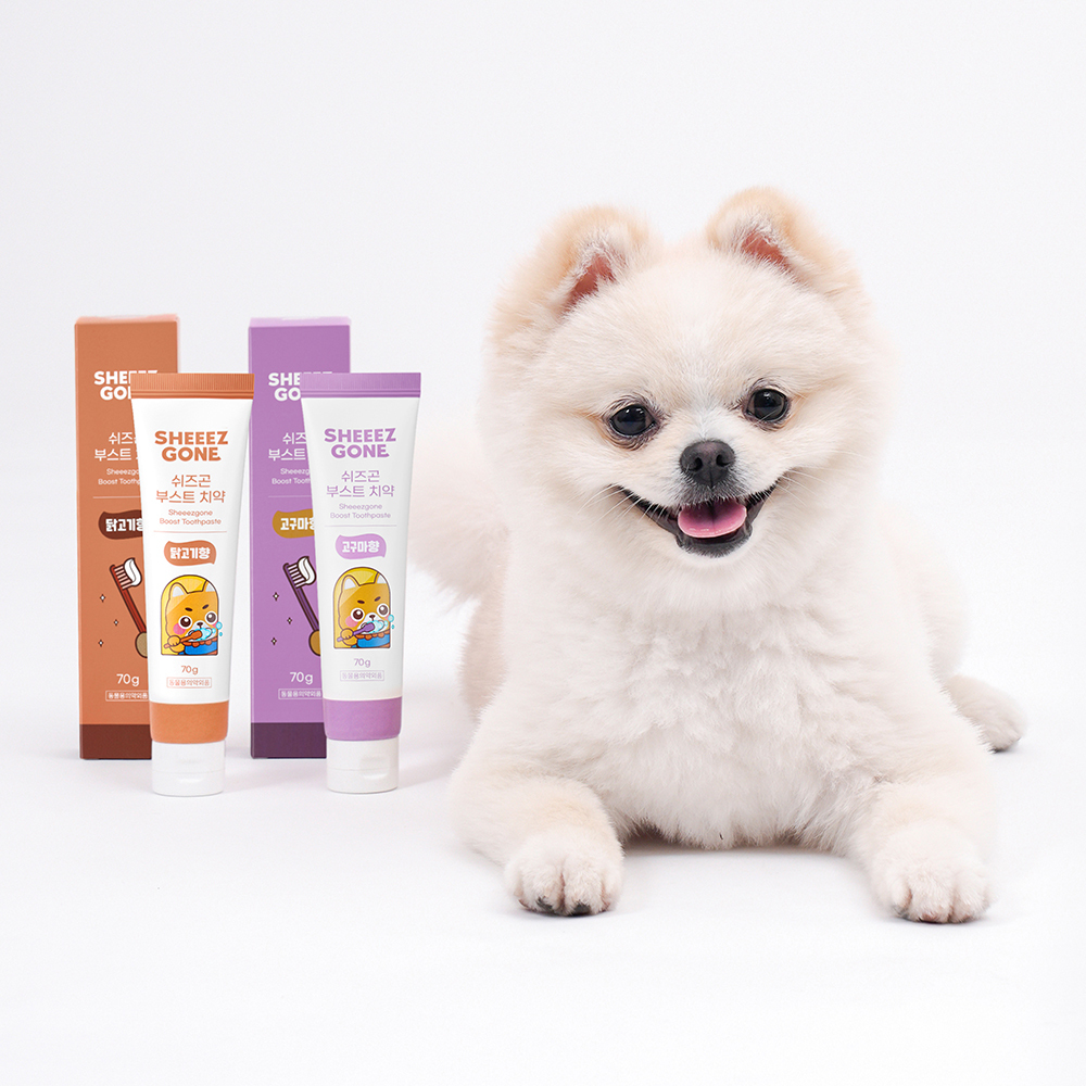 쉬즈곤 강아지 고양이 부스트 구강관리 치석제거 치약 70g, 2개, 닭고기 - 상세 이미지 2
