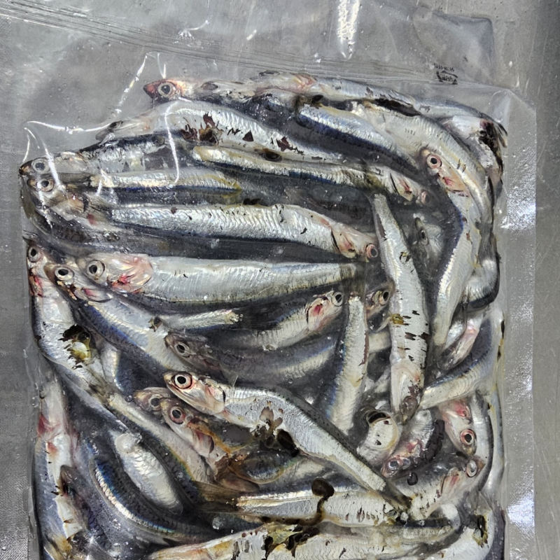 자연가득 급냉 손질 생멸치 500g - 상세 이미지 5