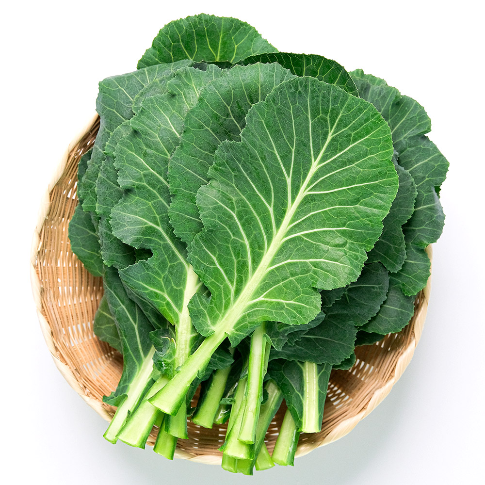 국내산 케일 1kg 2kg 슈퍼푸드 쌈 즙 주스용 - 상품 이미지