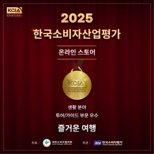 대마도 배편 예약 당일치기 1박2일 자유여행 히타카츠 이즈하라 승선권 씨... 솔직 후기 | 실사용자 리뷰 분석 - 상품 이미지 3