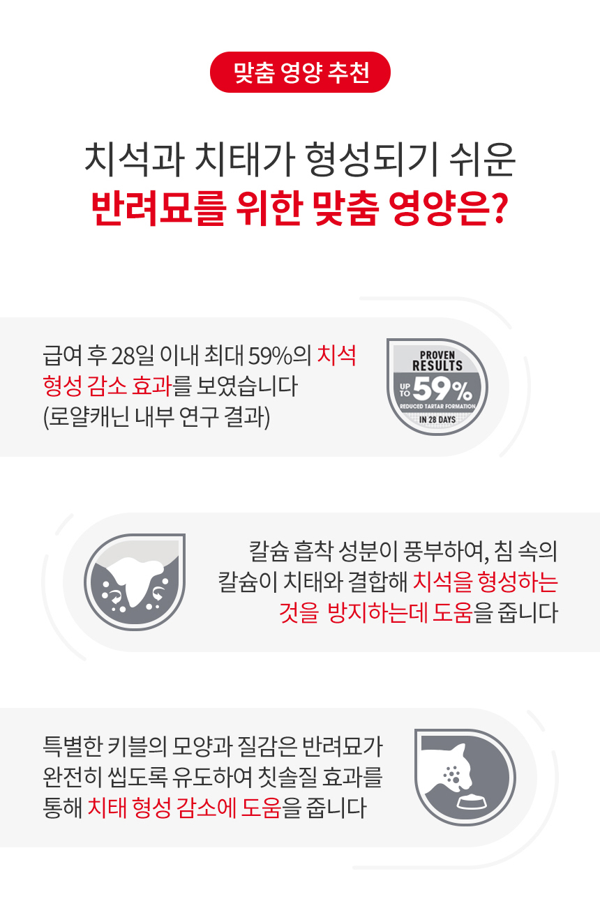 [유통기한 2027.08.24] 로얄캐닌 캣 덴탈케어, 3.5kg, 1개