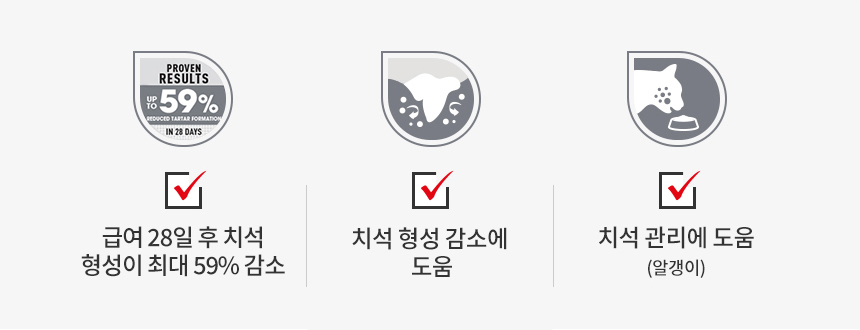 [유통기한 2027.08.24] 로얄캐닌 캣 덴탈케어, 3.5kg, 1개