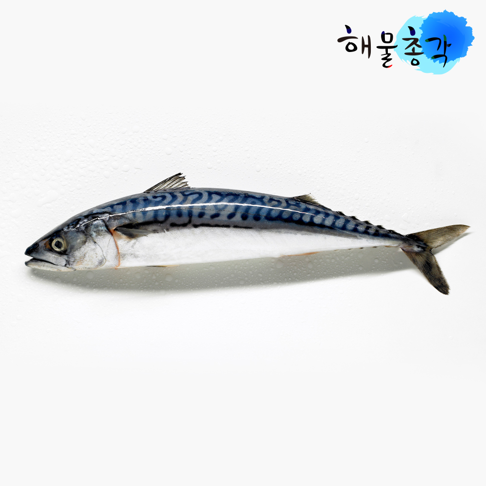 해물총각 청정 노르웨이산 HACCP 손질생선 가시제거 순살 고등어 5팩 이미지 8