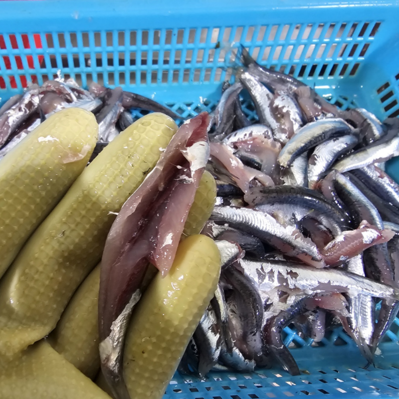 자연가득 급냉 손질 생멸치 500g - 상품 이미지