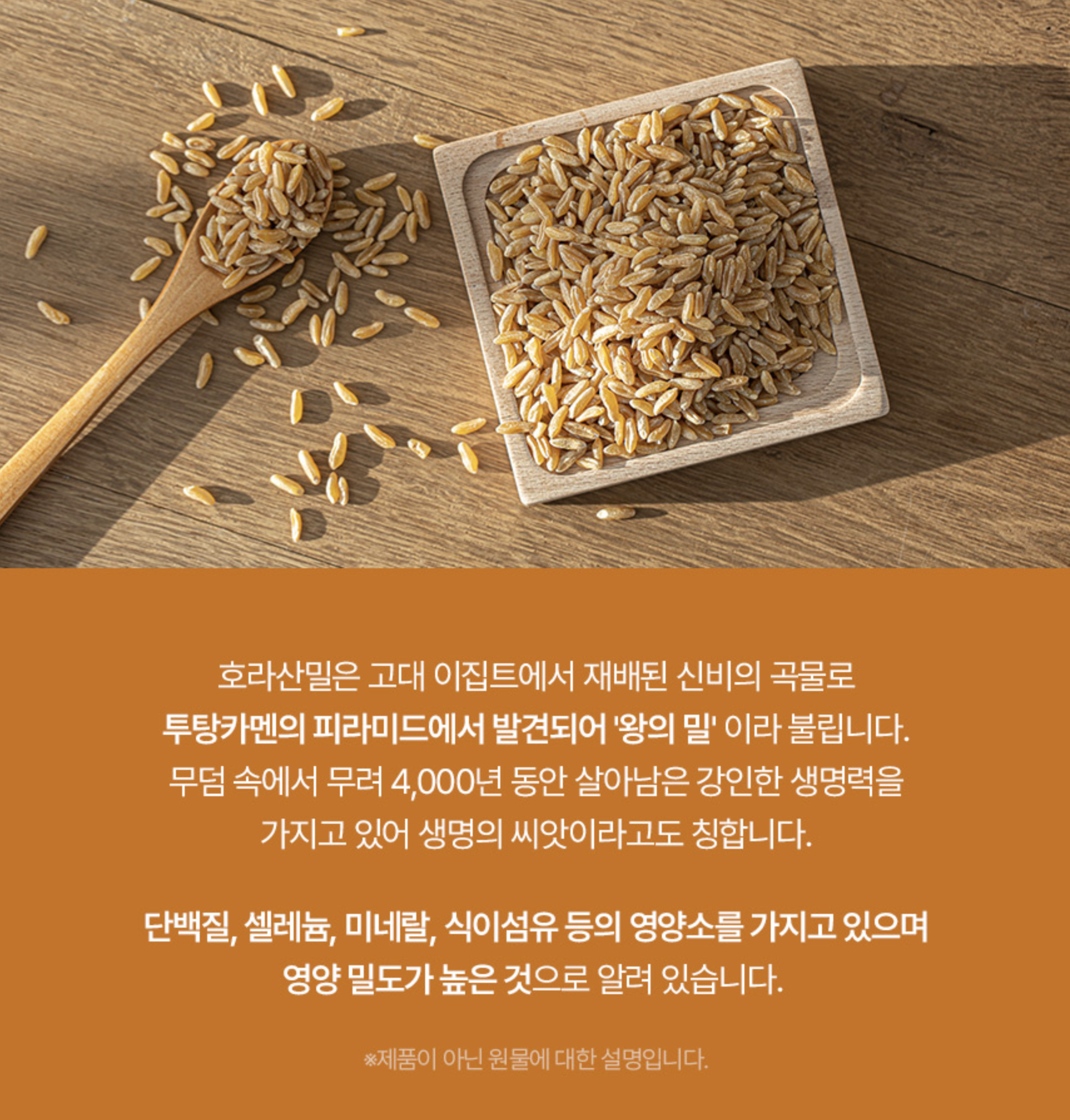 이탈리아 파로효소밸런스 대용량카무트효소 호라산밀곡물효소 60정, 1개 - 상세 이미지 5