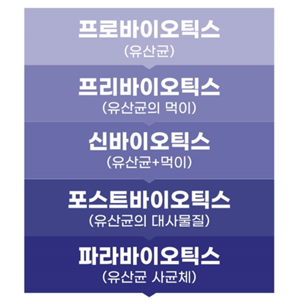 베르디캣 고양이 이뮨 스틱 30g 24포 2박스 락토페린 유산균 피부 장 면역 건강 츄르 - 상세 이미지 4