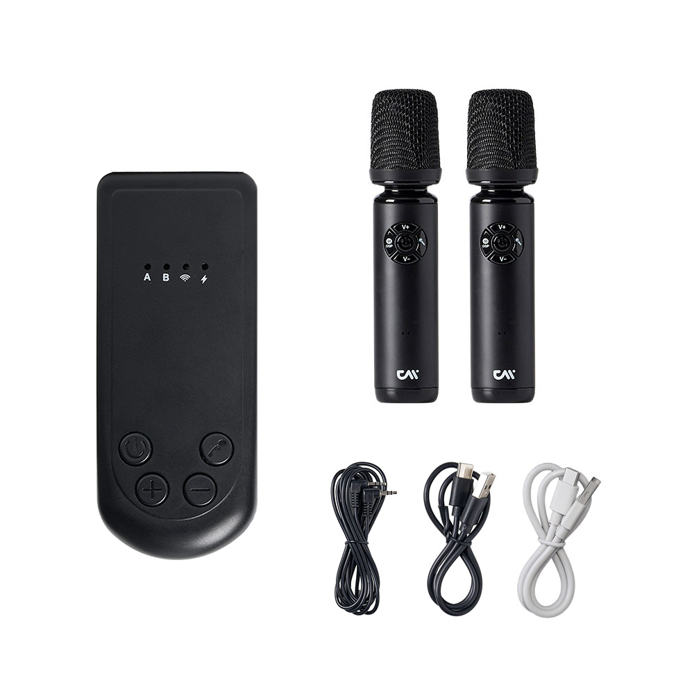 플러그앤싱 무선 마이크 블루투스 수신기 노래방 AUX 스피커 확장 연결 차량용 휴대용 제품 이미지