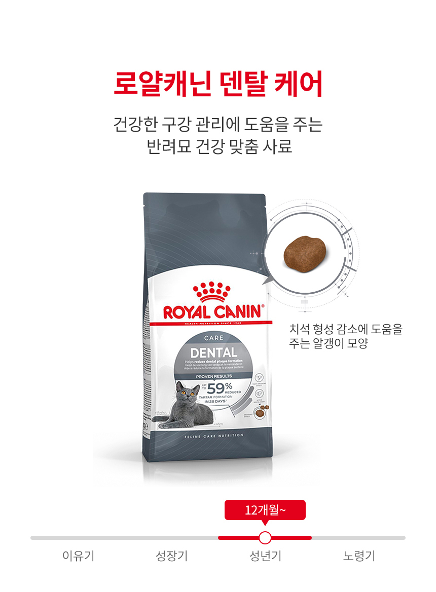 [유통기한 2027.08.24] 로얄캐닌 캣 덴탈케어, 3.5kg, 1개