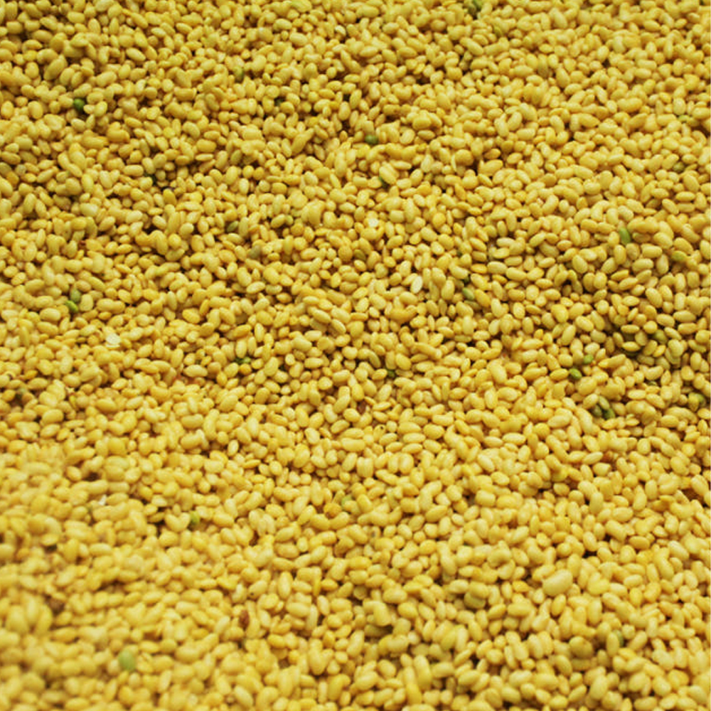 국내산 무농약 콩나물 NON-GMO 신선 콩나물 1kg 국거리 나물용 - 상세 이미지 4