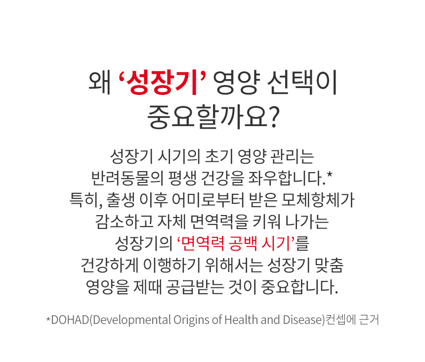 [유통기한 2027.03.26] 로얄캐닌 캣 키튼, 4kg, 1개 - 상세 이미지 5