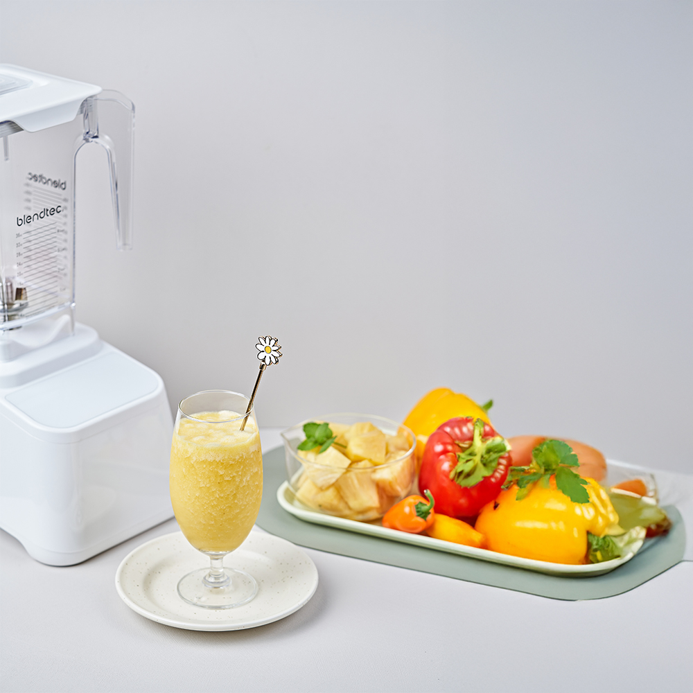 블렌텍 디자이너 650 초고속 프리미엄 블렌더 대형 대용량 이유식 믹서기 폴라 화이트