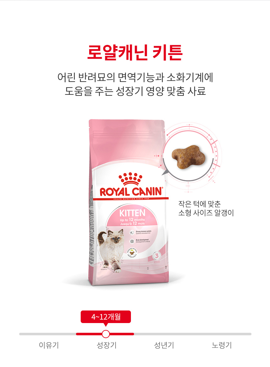 [유통기한 2027.03.26] 로얄캐닌 캣 키튼, 4kg, 1개 - 상세 이미지 3